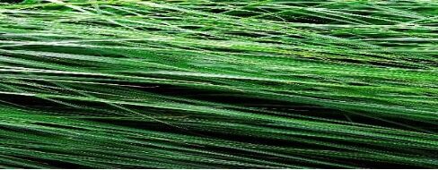 Experiential Body Psychotherapy Workshop